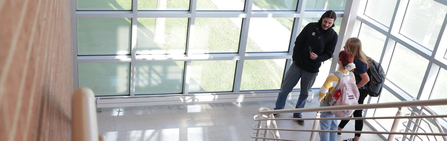 students in sunny stairwell with green grass and green trees outside.